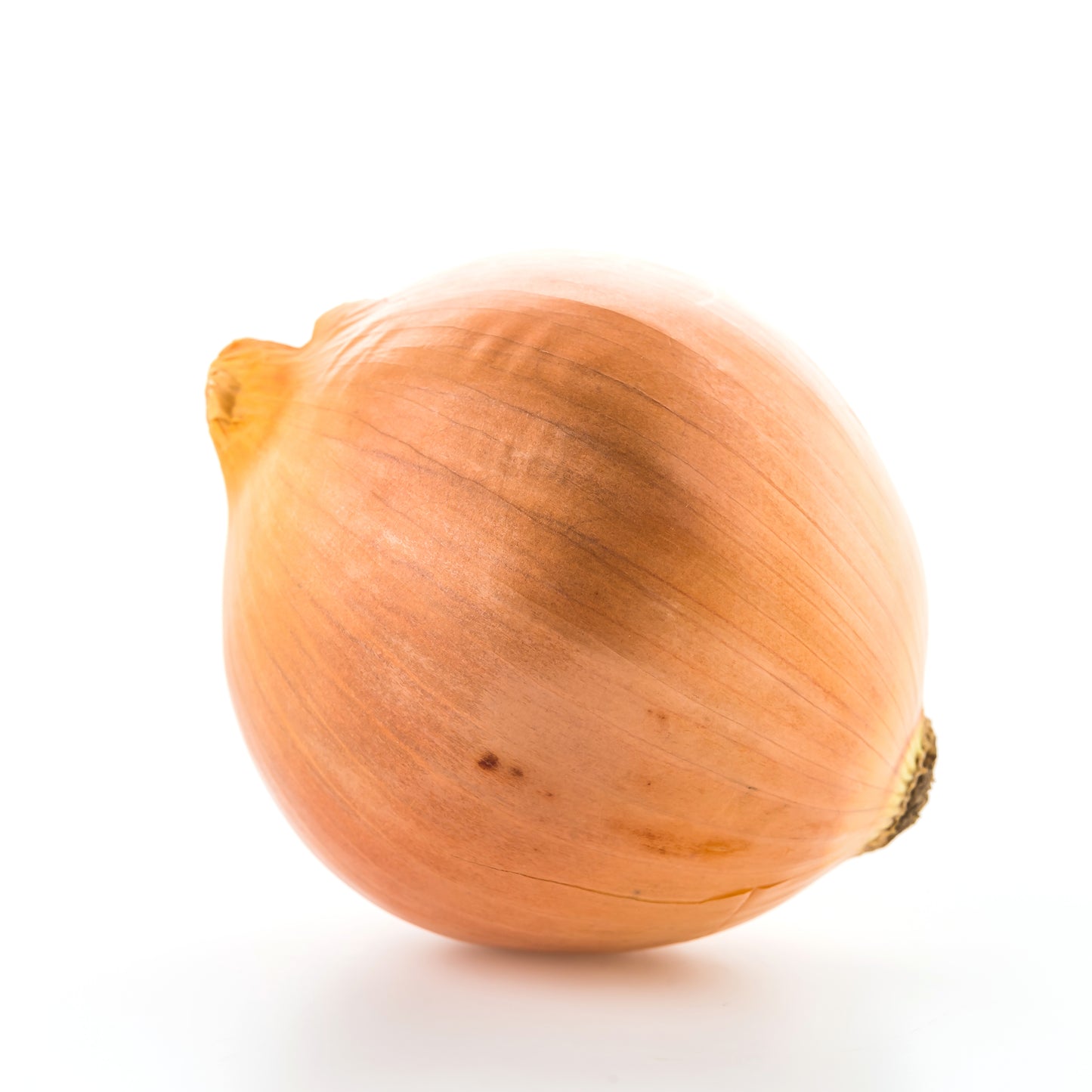 Gelbe Zwiebeln frisch, klassische Speisezwiebeln mit goldbrauner Schale, fest und aromatisch, minimalistisch auf weißem Hintergrund