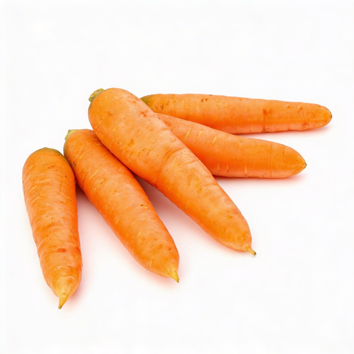 Karotten frisch, orange Wurzelgemüse mit glatter Oberfläche, knackig und süßlich im Geschmack, minimalistisch auf weißem Hintergrund