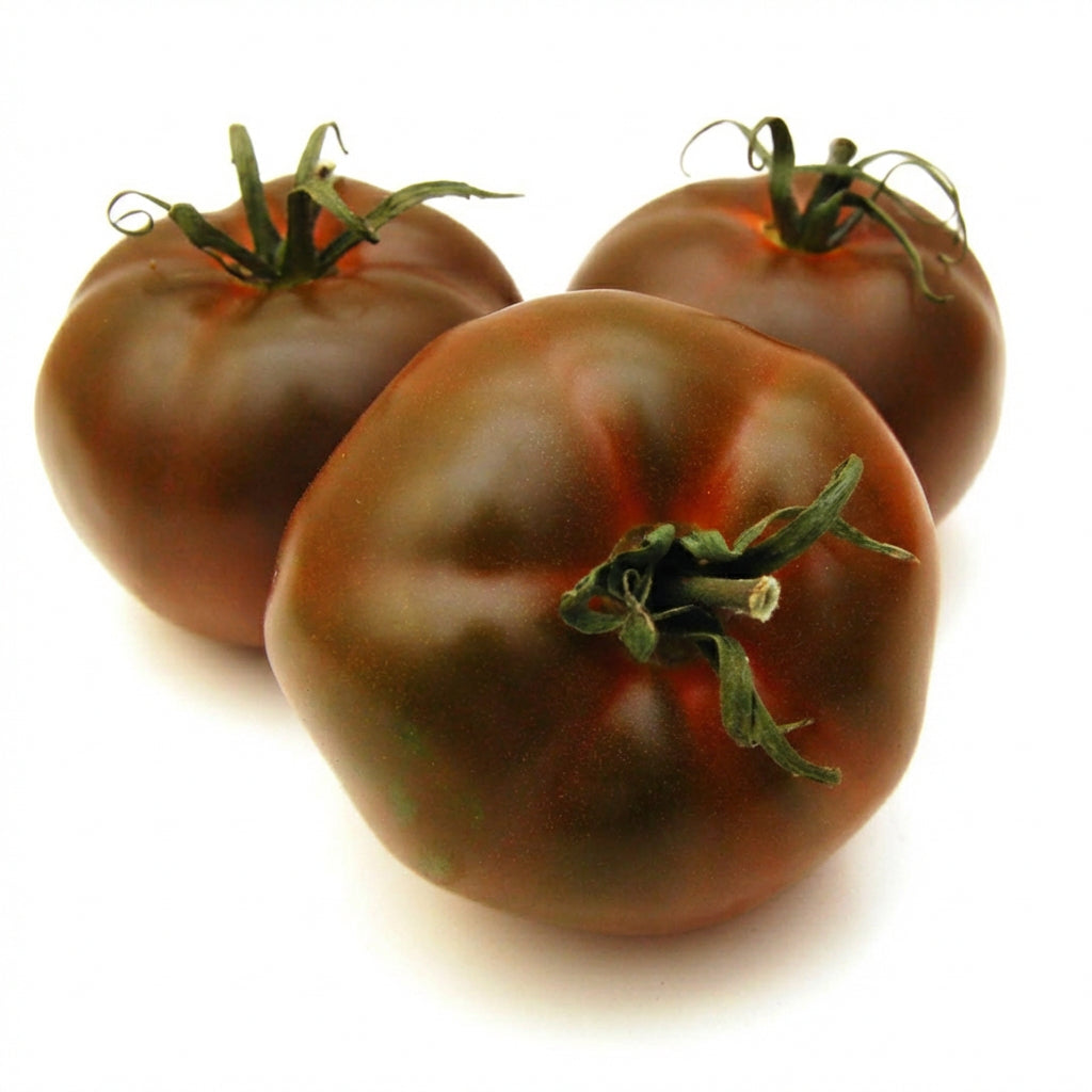 Saftige Kumato-Tomaten (Schokoladetomaten) mit tiefbraun-roter Schale und grünlichen Nuancen, süß-würzig im Geschmack – perfekt für sommerliche Salate, gegrillt mit etwas Olivenöl oder als aromatischer Snack direkt aus der Hand.