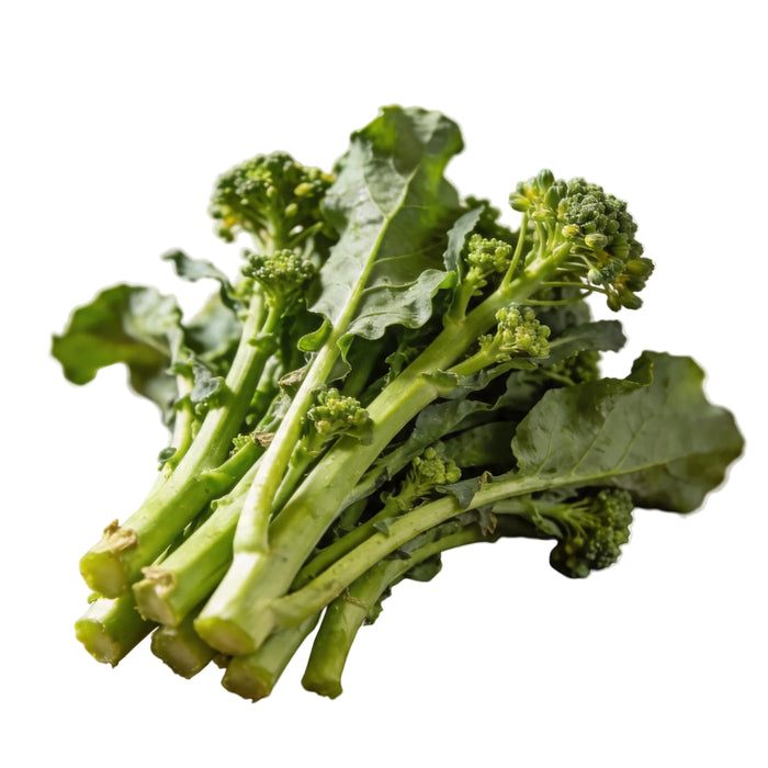 Frische Cime di Rapa mit zarten, grünen Blättern und kleinen Brokkoli-ähnlichen Röschen – leicht bitter, aromatisch und ideal für italienische Gerichte wie Pasta oder als Beilage