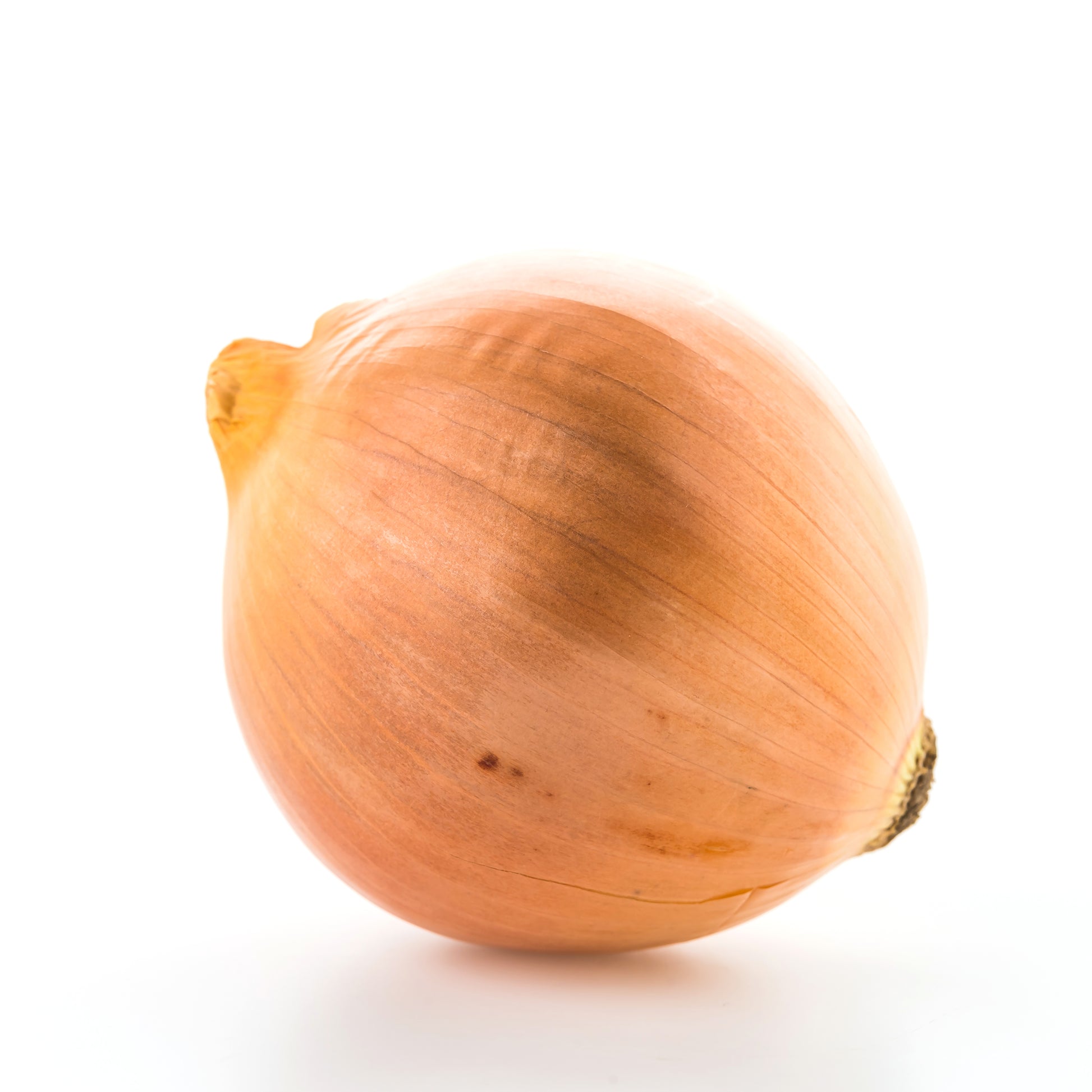 Gelbe Zwiebeln frisch, klassische Speisezwiebeln mit goldbrauner Schale, fest und aromatisch, minimalistisch auf weißem Hintergrund