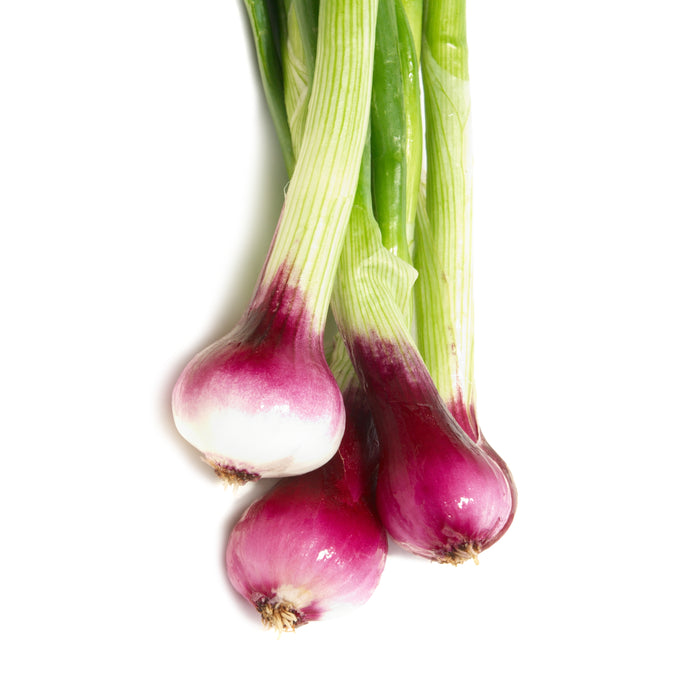 Frische rote Jungzwiebeln im Bund mit zarten Stielen und aromatischer Schärfe – perfekt für Salate, Toppings oder zum feinen Anbraten.