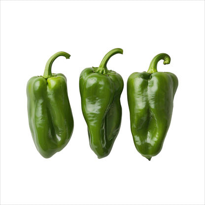Frische Pimientos de Padrón, klein und grün, mit glatter, leicht glänzender Schale, locker auf hellem Hintergrund arrangiert.