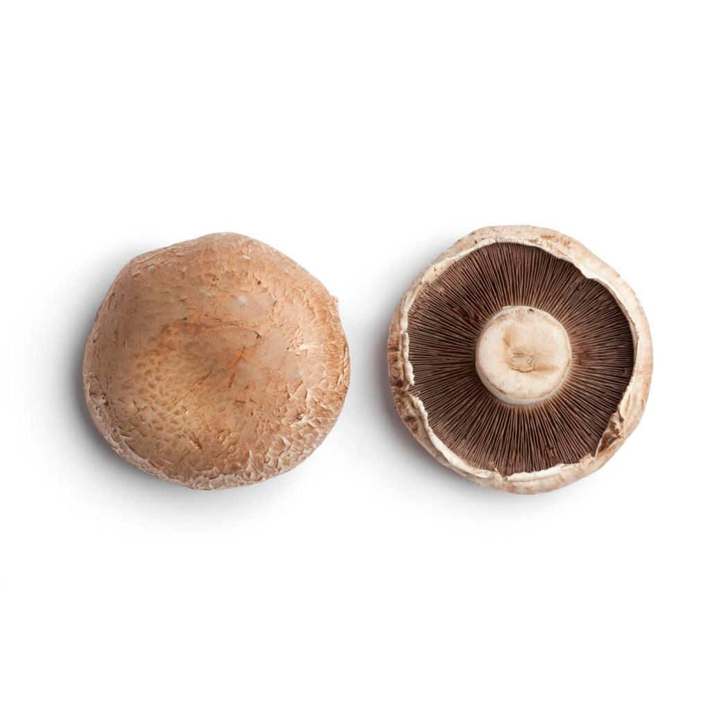 Große Portobello-Pilze mit brauner Kappe und festem, saftigem Fruchtfleisch – kräftig im Geschmack, ideal zum Grillen, Braten oder als fleischlose Alternative