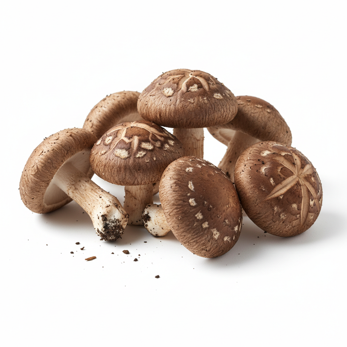 Frische Shimeji-Pilze mit kleinen, festen Köpfen und zarten Stielen – mild-nussig im Geschmack, ideal für asiatische Gerichte, Pfannen und Suppen