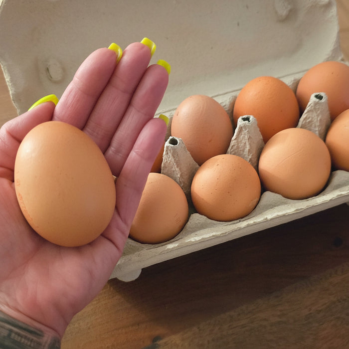 Frische Eier aus Oberösterreich.