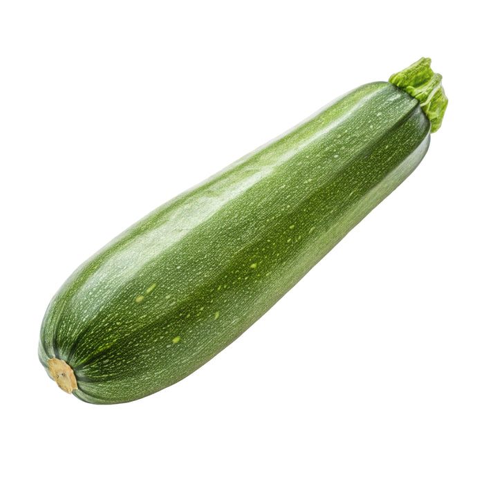 Zucchini frisch, grüne längliche Zucchini mit glatter Schale, zart und mild im Geschmack, minimalistisch auf weißem Hintergrund