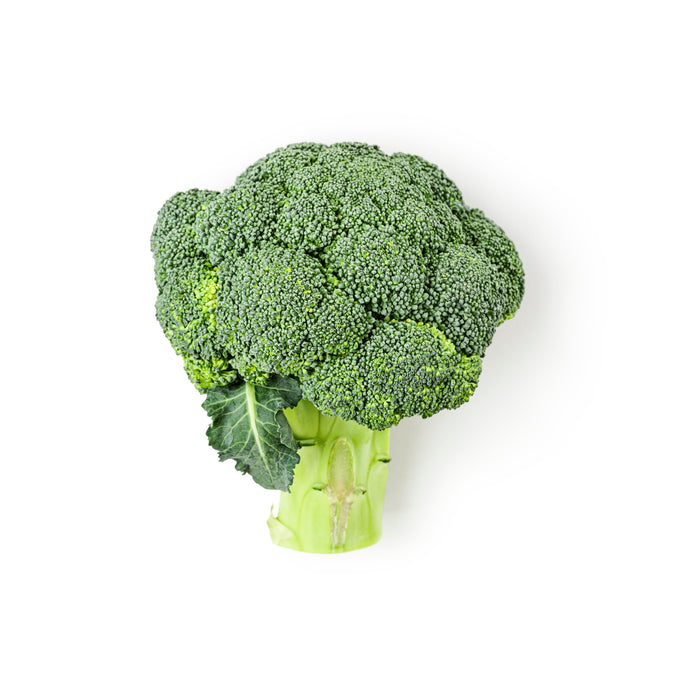 Brokkoli frisch, grüner Kohl mit festen Röschen und kräftigem Stiel, knackig und aromatisch, minimalistisch auf weißem Hintergrund