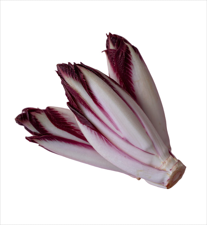 Roter Chicorée mit zarten, knackigen Blättern und fein-bitterem Aroma – ideal für Salate und besondere, aromatische Gerichte.