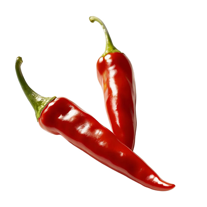Chili Pfefferoni rot