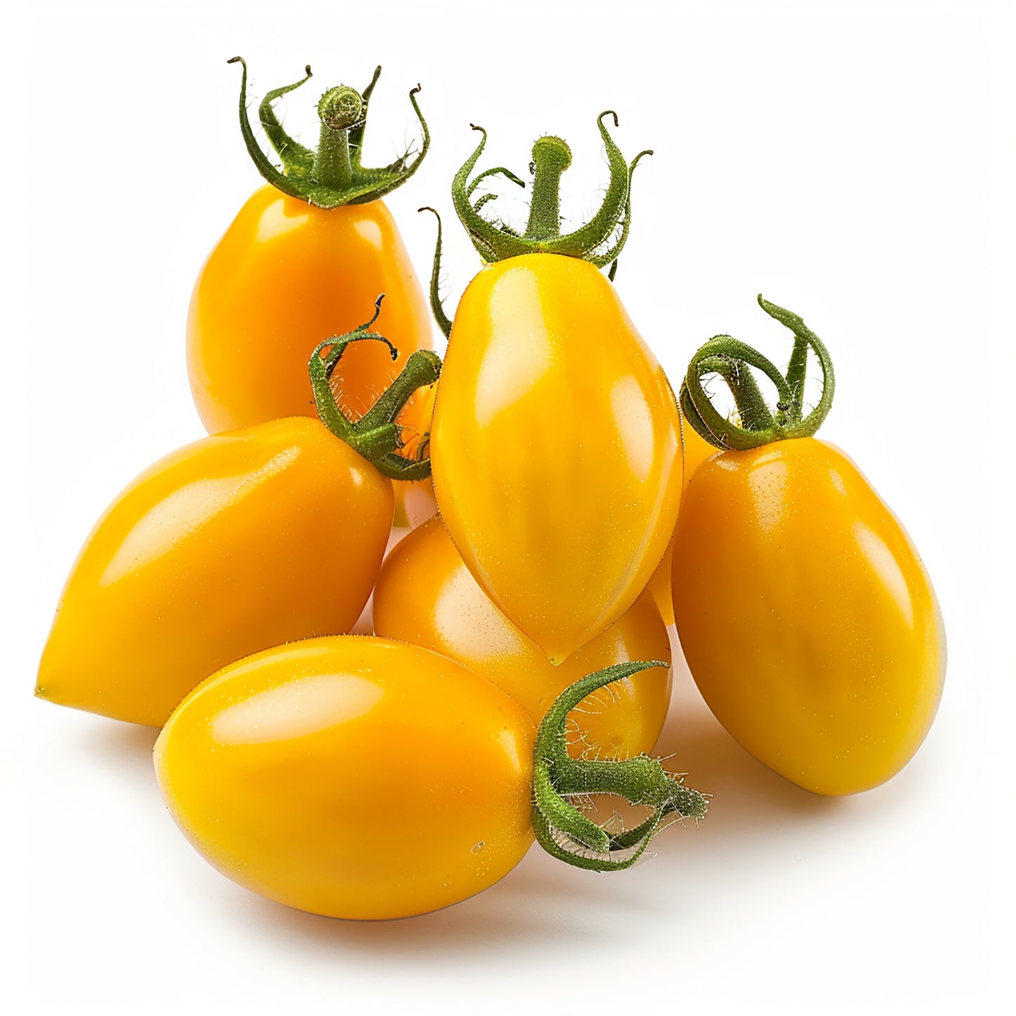 Sonnengereifte gelbe Cherry-Tomaten, klein und rund, mit glatter, glänzender Schale in warmem Goldgelb, dicht beieinander auf hellem Hintergrund arrangiert.