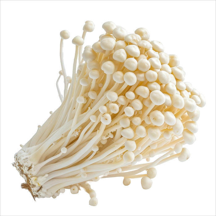 Enoki-Pilze mit langen, dünnen, weißen Stielen und kleinen, runden Köpfen, dicht gebündelt in einer Schale, frisch und fein strukturiert auf hellem Hintergrund präsentiert.