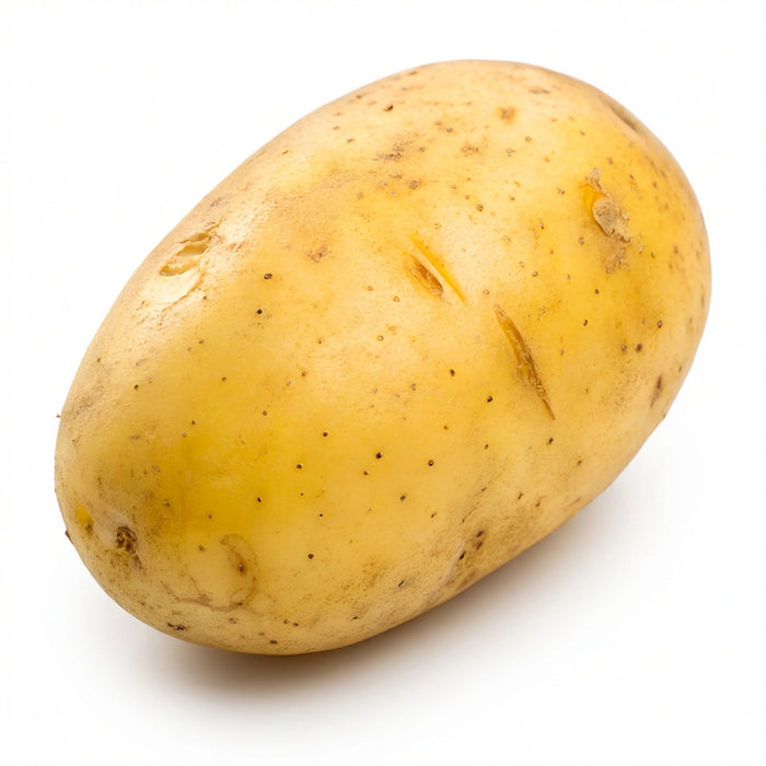 Erdäpfel frisch, klassische Kartoffeln mit natürlicher Schale, fest und vielseitig verwendbar, minimalistisch auf weißem Hintergrund