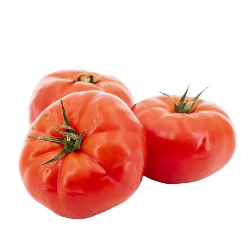 Große Fleischtomate, rund und kräftig rot, mit glatter bis leicht gerippter Oberfläche und fester, saftiger Struktur, einzeln auf hellem Hintergrund platziert.