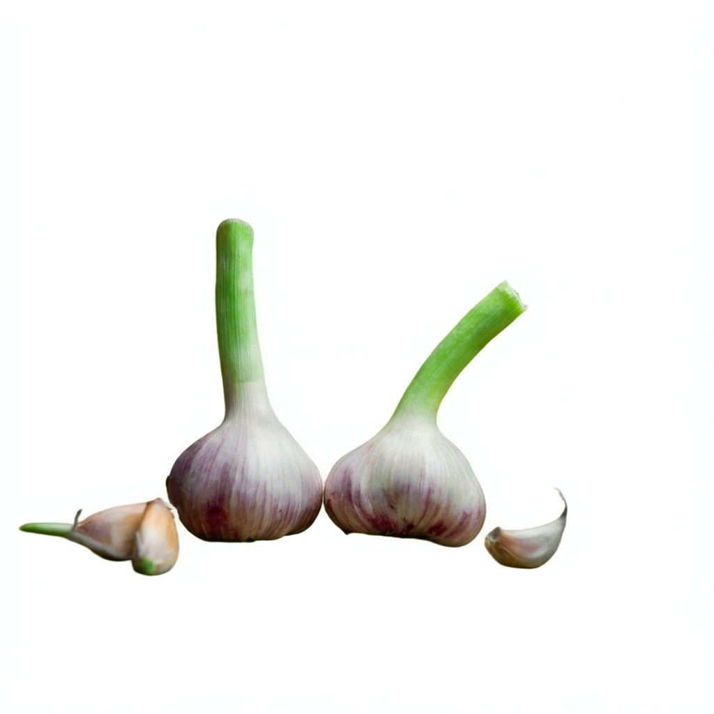 Aromatischer Knoblauch mit festen Zehen und würzig-scharfem Geschmack – perfekt für mediterrane Küche und herzhafte Speisen.