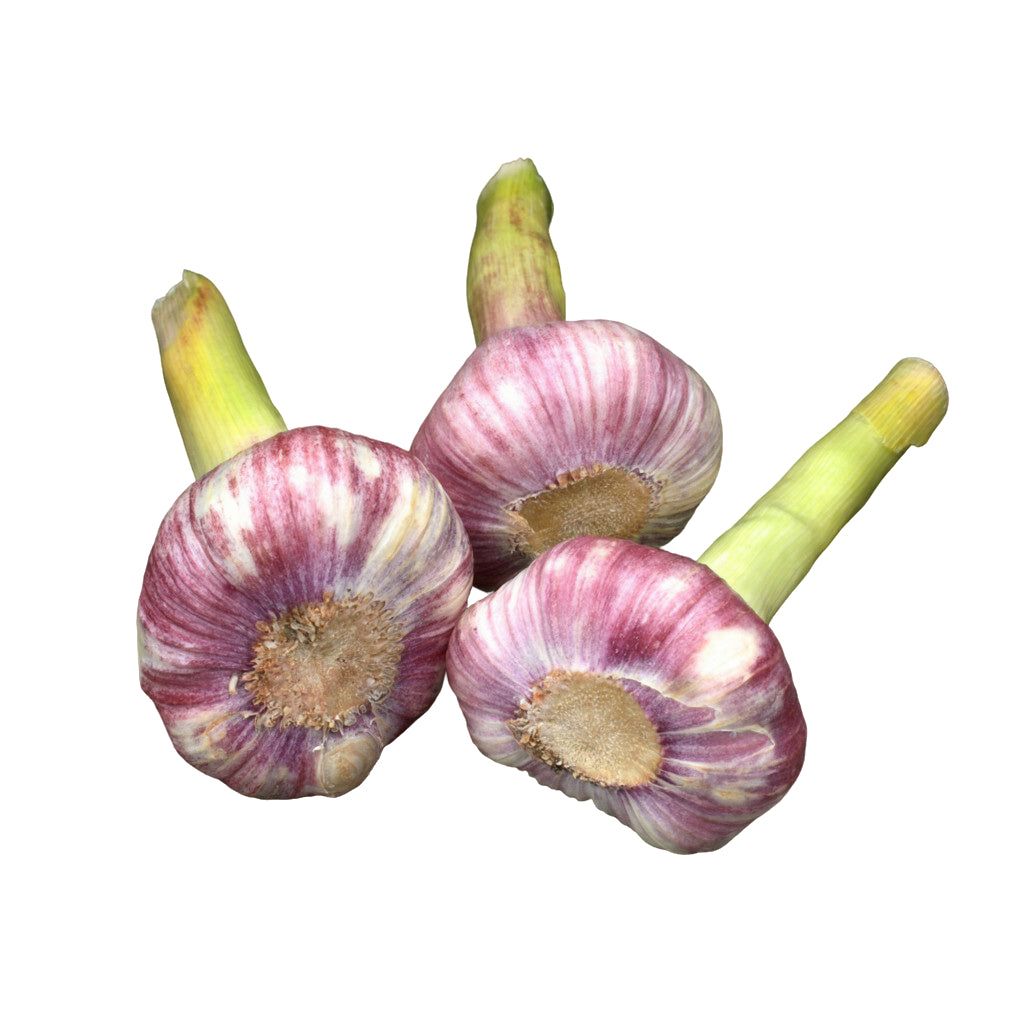 Frischer Knoblauch mit kräftigem Duft und vielseitigem Einsatz – unverzichtbar für Saucen, Fleischgerichte und Gemüse.
