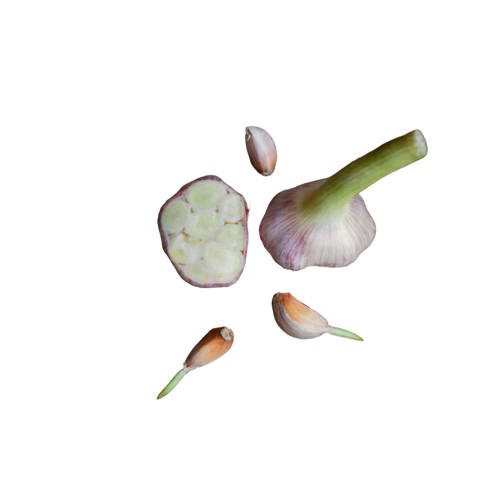 Frischer Knoblauch mit intensivem Aroma und kräftigem Geschmack – ideal zum Würzen, Kochen und Verfeinern zahlreicher Gerichte.