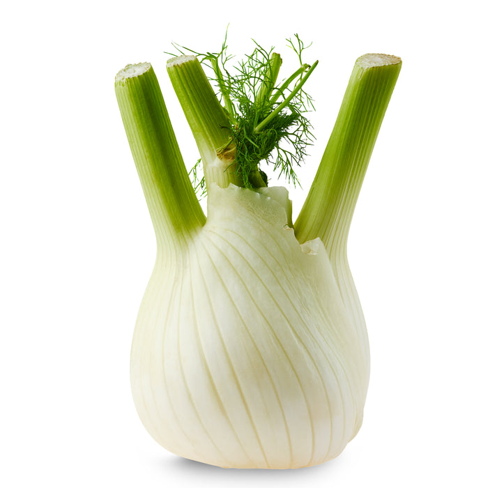 Fenchel