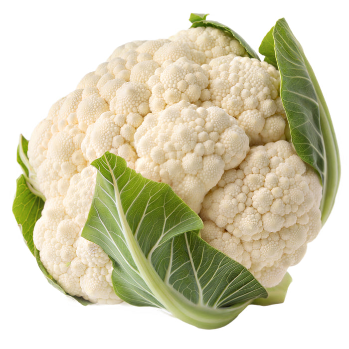 Karfiol frisch, weißer Blumenkohl, kompakter Kopf mit feiner Struktur, mild und zart, minimalistisch auf weißem Hintergrund