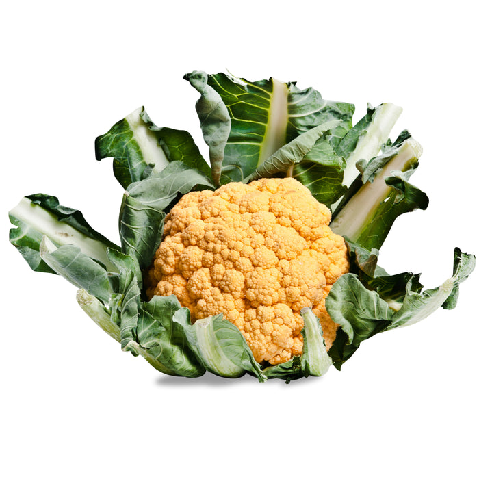 Oranger Karfiol mit kräftiger Farbe, frischer Blumenkohl, kompakt und besonders, minimalistisch auf weißem Hintergrund