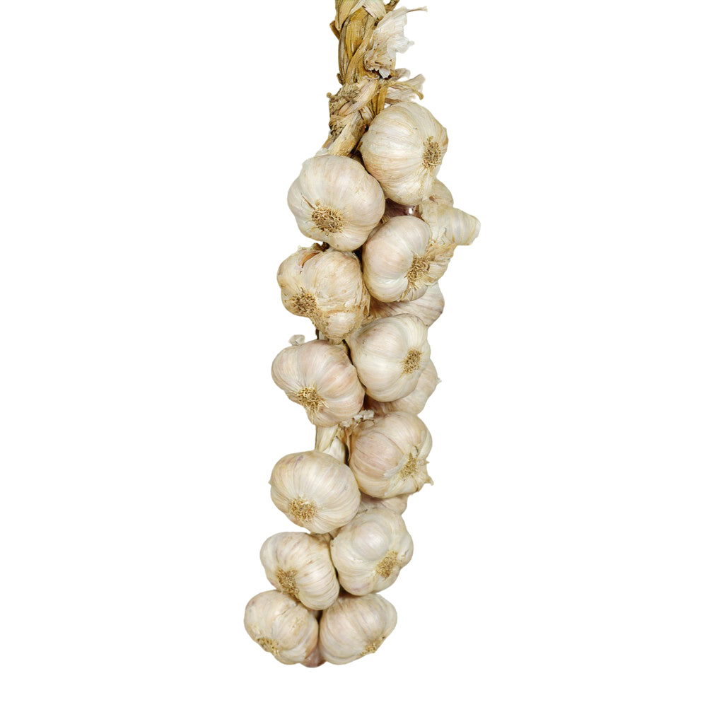 Geflochtener Knoblauchzopf mit aromatischen Knollen – dekorativ zum Aufhängen und ideal als stilvoller Vorrat für deine Küche.