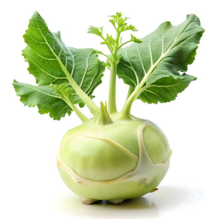 Kohlrabi