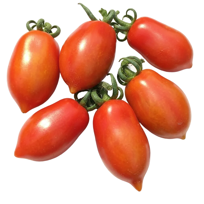 Pflaumen Tomaten