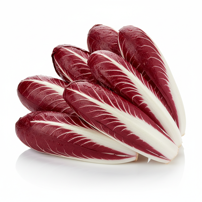 Radicchio Treviso mit länglicher Form, tiefroten Blättern und markanten weißen Blattadern, fest und knackig, elegant auf hellem Hintergrund präsentiert.