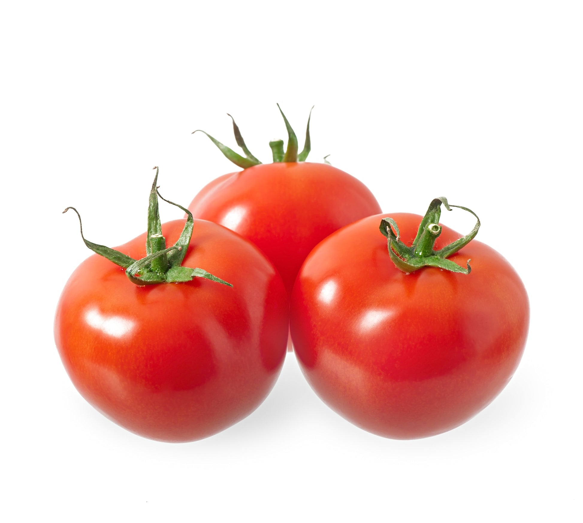 Tomaten frisch, klassische rote Rundtomaten, saftig und aromatisch, glatt und reif, minimalistisch auf weißem Hintergrund