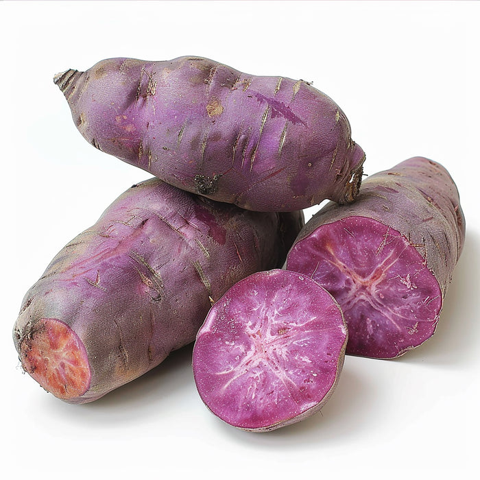 Violette Süßkartoffel frisch, lila Fruchtfleisch, exotische Knolle, fest und aromatisch, minimalistisch auf weißem Hintergrund