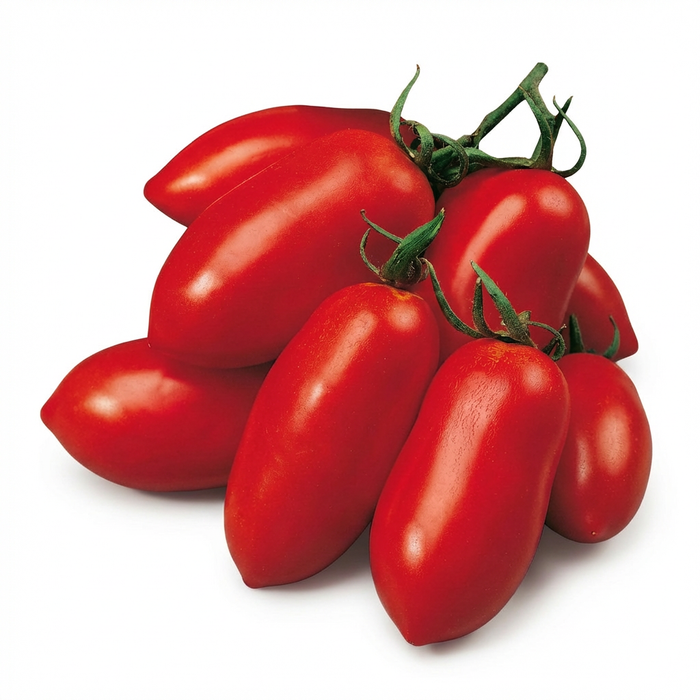 Längliche San-Marzano-Tomaten in kräftigem Rot, mit glatter, fester Schale und typischer ovaler Form, dicht beieinander auf hellem Hintergrund angeordnet.