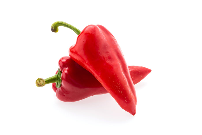 Rote Spitzpaprika frisch, längliche süße Paprika mit glatter Schale, knackig und aromatisch, minimalistisch auf weißem Hintergrund