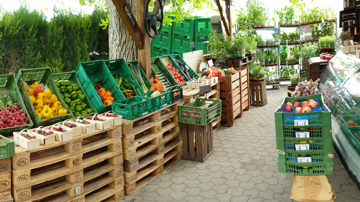 Fruitgetable Corner im Jahr 2020-2021
