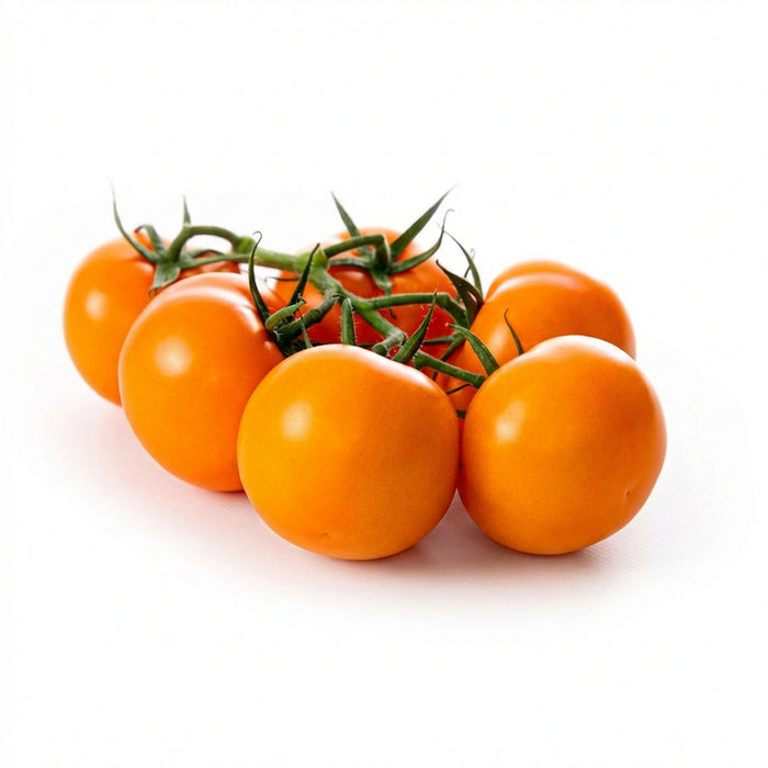 Orange Strauchtomaten, rund und fest, an der grünen Rispe hängend, mit glatter, glänzender Schale in warmem Orange, frisch und dicht angeordnet auf hellem Hintergrund.