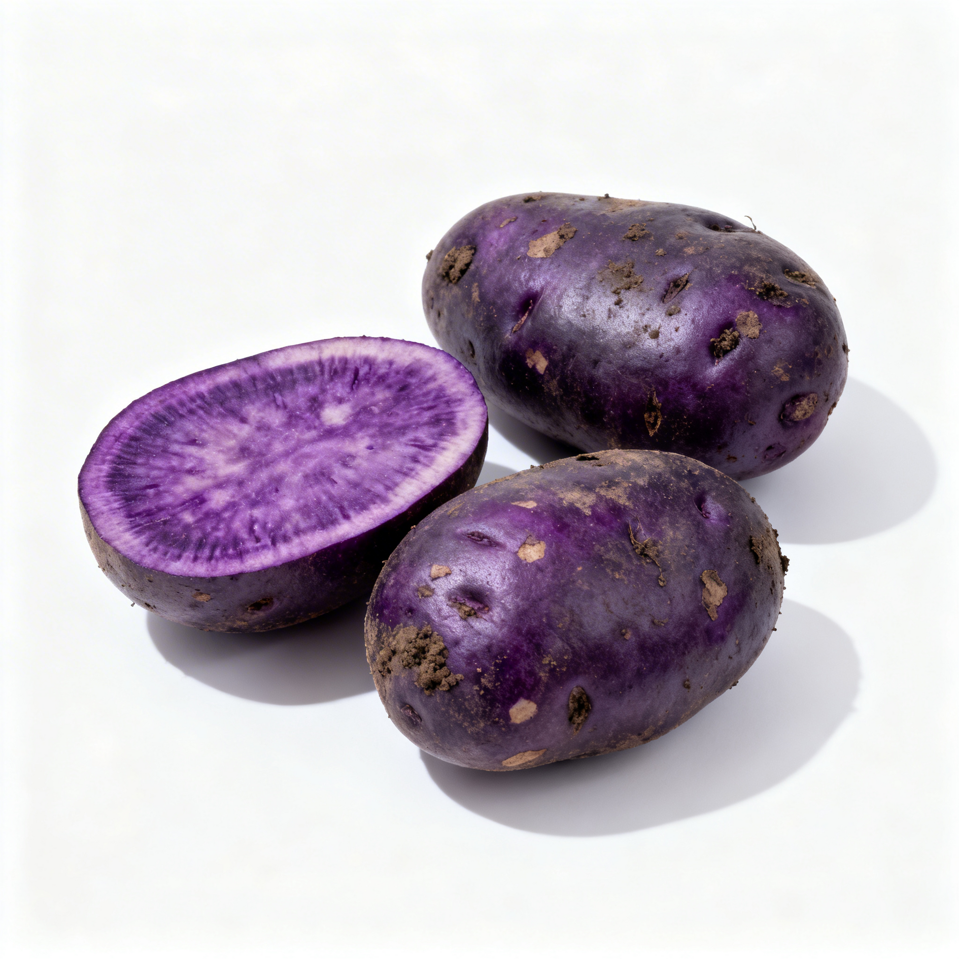 Trüffelkartoffel frisch, dunkle Schale mit violettem Inneren, aromatische Kartoffel, fest und hochwertig, minimalistisch auf weißem Hintergrund