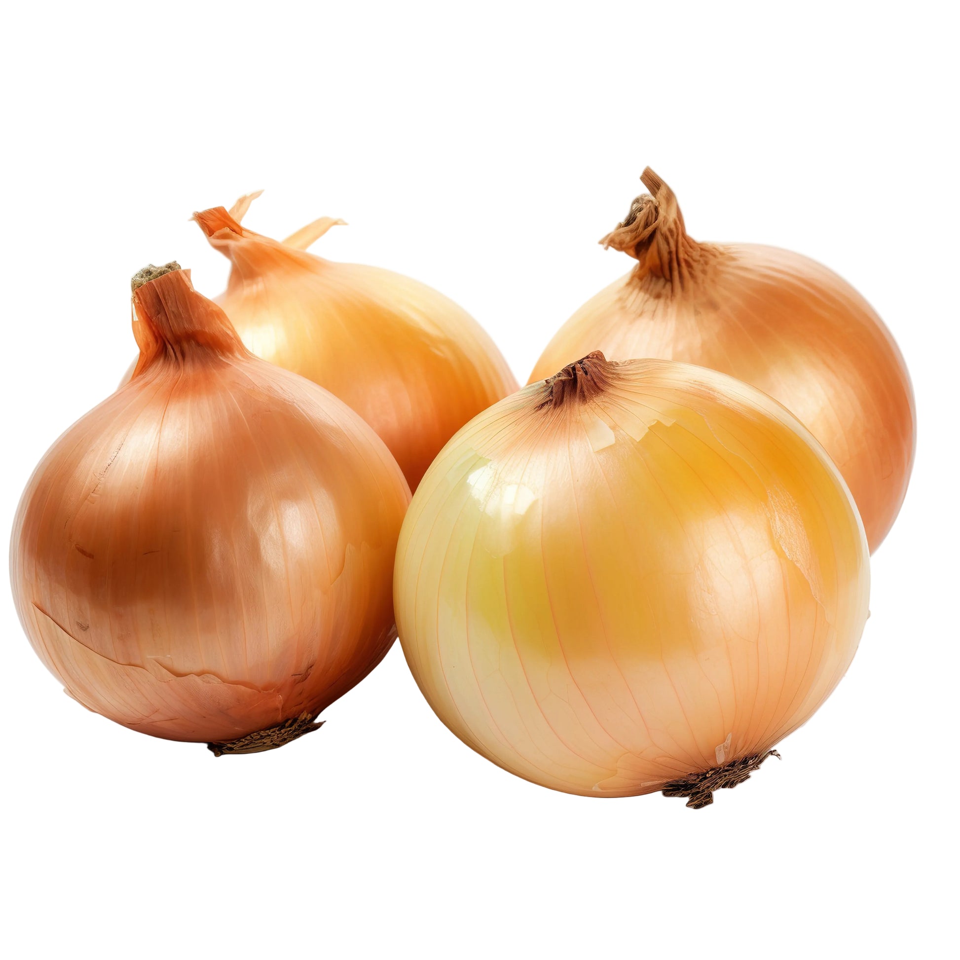 Frische gelbe Zwiebeln mit würzigem, leicht scharfem Aroma und fester Struktur – ideal zum Kochen, Braten und als Basis für zahlreiche Gerichte.